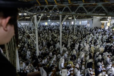 Ultra-Orthodox Jewish Hasids pilgrims pray in Synagogue of Bratslav Hasidim close to tomb of Rabbi Nachman on the eve of Rosh Hashanah holiday, Jewish New Year, in Uman, Ukraine 17-09-2023 clipart