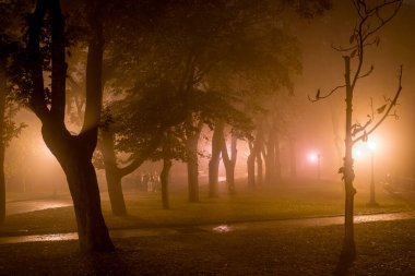 Sisli havada, eski parkın arka sokağının akşam manzarası. Yüksek kalite fotoğraf
