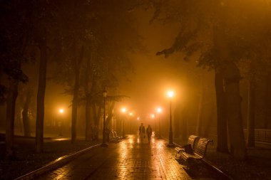 Sisli havada, eski parkın arka sokağının akşam manzarası. Yüksek kalite fotoğraf
