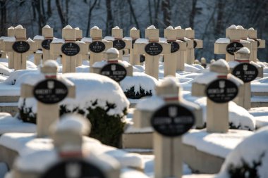 14 Aralık 2024 'te Lviv, Ukrayna' daki Lychakivsky mezarlığındaki Lviv askeri anıtı veya Lviv savunucularının mezarlığı. Yüksek kalite fotoğraf