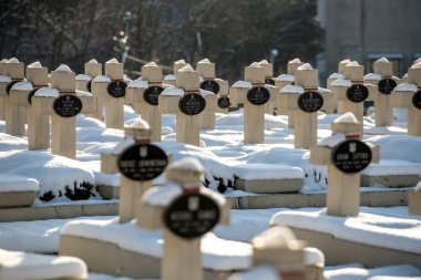 The Polish military memorial or the Cemetery of the defenders of Lviv or the Cemetery of Eaglets at the Lychakivsky cemetery in Lviv, Ukraine December 14, 2024. High quality photo clipart