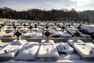 The Polish military memorial or the Cemetery of the defenders of Lviv or the Cemetery of Eaglets at the Lychakivsky cemetery in Lviv, Ukraine December 14, 2024. High quality photo clipart