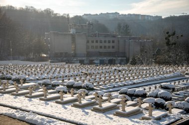 The Polish military memorial or the Cemetery of the defenders of Lviv or the Cemetery of Eaglets at the Lychakivsky cemetery in Lviv, Ukraine December 14, 2024. High quality photo clipart