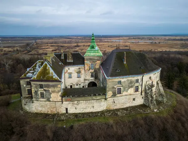 Ukrayna, Lviv yakınlarındaki güzel Olesky Kalesi 'nin hava manzarası. Yüksek kalite fotoğraf