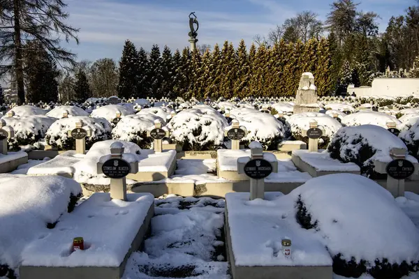 14 Aralık 2024 'te Lviv, Ukrayna' daki Lychakivsky mezarlığındaki Lviv askeri anıtı veya Lviv savunucularının mezarlığı. Yüksek kalite fotoğraf