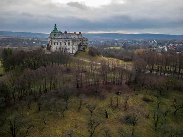 Ukrayna, Lviv yakınlarındaki güzel Olesky Kalesi 'nin hava manzarası. Yüksek kalite fotoğraf