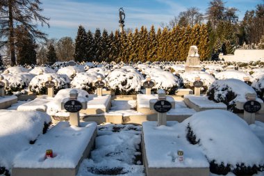 14 Aralık 2024 'te Lviv, Ukrayna' daki Lychakivsky mezarlığındaki Lviv askeri anıtı veya Lviv savunucularının mezarlığı. Yüksek kalite fotoğraf