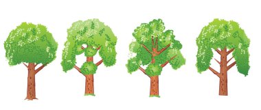 Çizgi film tarzı ağaçlar. Vektör illüstrasyonu beyaz arkaplanda izole edildi.