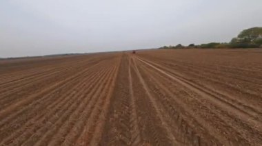 Drone FPV uçuşu tarım arazileri, koyu kahverengi buğday ekinleri ve hasat makineleri üzerinde. Kırsal alan. Organik gıda üretimi. Çiftçilik. Fabrika.