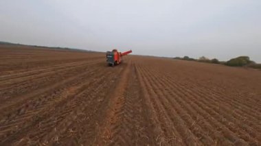 Tarım çiftliği üzerinde hızlı FPV uçuşu. Büyük buğday tarlası hasat ekinleri ve hasat makineleri çalışıyor. Kırsal kesimde. Organik gıda üretimi.