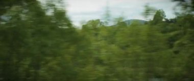 Bir araba penceresinden ya da bir yaz günü nehir kenarındaki tren ve manzara manzarası. Yeşil ağaç ve mavi gökyüzü