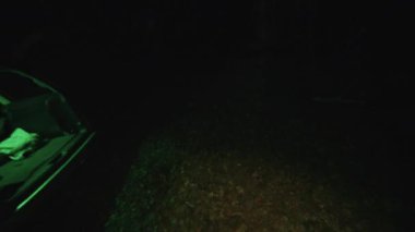 Karanlık Adam Dedektifi 'nin gece yarısı araba arama kanıtı yanında ışık var. Orman, güvenlik, ekipman, projektör, sis, suçlu. POV çekimi