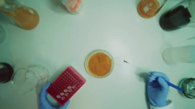 Modern bir mikrobiyoloji dolabında tüp ve sıvıyla çalışan koruyucu eldivenlerle üst düzey bir laboratuvar çalışanının yakın görüntüsü. Deneme. Teknoloji. Genetik