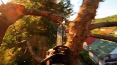 Güzel ve sakin bir gün batımı sahnesi. Huzurlu arka planda rahat çatıları olan bir kır ağacı.