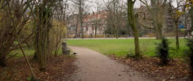 Güzel ağaçlarla çevrili ve yapraklarla süslenmiş sakin bir park yolu huzurlu bir sonbahar sahnesi hazırlar.