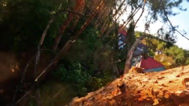 Doğanın özünü yakalayan ve yemyeşil ağaçlar arasında hızlı hareket eden çarpıcı bir hareket bulanık bir görüntü.