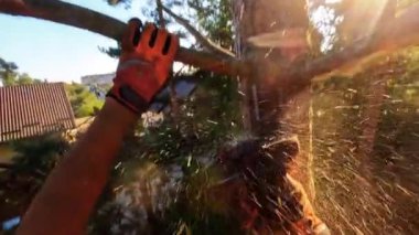 Berrak mavi gökyüzünün altında canlı yapraklar ve yapraklarla çevrili yalnız bir ağaç dalının çarpıcı görüntüsü.