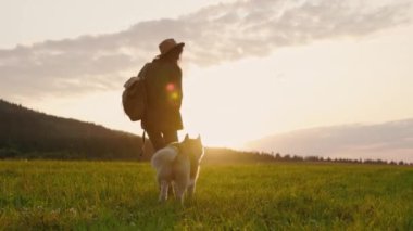 Güzel, yemyeşil bir tarlada, güzel bir gün batımında sevgili bir köpekle huzurlu bir akşam gezintisinin tadını çıkarıyorum.