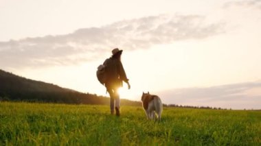Huzurlu ve huzurlu bir an. Gün batımında sevgili köpeğiyle birlikte yemyeşil bir tarlada yürürken.