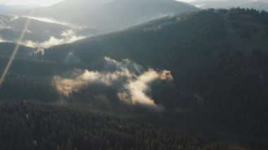 Nefes kesici bir hava manzarası, canlı yeşil tepelerin yanındaki sisli bir ormanı yakalar. Hepsi yumuşak, yumuşak güneş ışığıyla yıkanır.