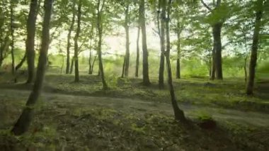 Yeşil ormanda koşan, ağaçların arkasında duran üniformalı iki genç askerin vurulması. Açık havada. Yaz zamanı. Savaş konsepti. Taktik harekat sırasında ordu