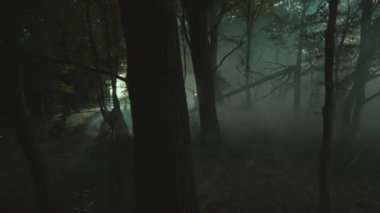 Akşamları sisli ormanda koşan iki asker. Silahlı askerler hareket ediyor, düşmanlardan saklanıyor. Taktik hareket. Savaş konsepti. Ordu. Açık havada.