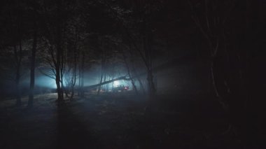 Uzakta duran farlı aracın görüntüsü. Gece vakti araba ormandan geçiyor. Sisli hava. Ağaçlar