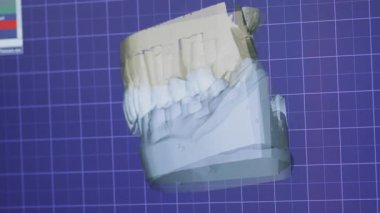 Bu yenilikçi 3D diş modeli profesyonel analiz için tasarlanmış son derece detaylı diş ve çene yapısını gösterir