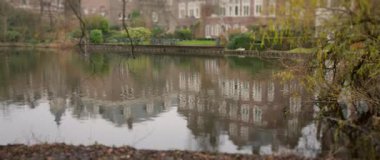 Huzurlu ve huzurlu bir sahne. Doğal güzellikler arasında sakin sularda çeşitli binaların güzel yansımalarını barındırıyor.