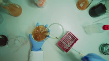 Modern tıp laboratuarında araştırma test tüplerinin görüntüleri. Kimya laboratuvarında aşı kurtarma. Eczacılık konsepti. Örnekleri inceliyorum. Yenilik bilimi laboratuvarı. Kapalı