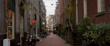 Canlı yeşillik ve antika dükkanlarla dolu pitoresk bir ara sokak, şehir keşfi ve gezinti için ideal.