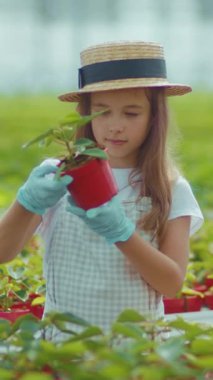 Hasır şapka takan genç bir kız neşeyle taze çilek topladı, masumiyeti ve güzelliği somutlaştırdı.
