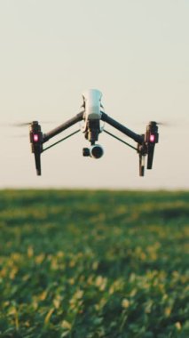 Büyüleyici insansız hava aracı görüntüleri canlı yeşil alanlar üzerinde süzülüyor, manzaranın doğal güzelliğini ve sükunetini gösteriyor, doğa aşıklarını davet ediyor.