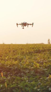 İnsansız hava aracı şu anda araziye yayılan çeşitli bitki türleriyle dolu geniş bir arazinin üzerinde uçuyor.