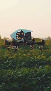 Çarpıcı bir insansız hava aracı yolculuğu canlı yeşil alanlar gösteriyor. Sıcak bir günbatımıyla aydınlanıyor. Doğanın dingin güzelliğini vurguluyor.