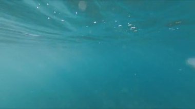 Resimli mavi sakin deniz manzarasının sualtı manzarası. Güneşli havalarda vahşi sahil şeridi. Kamera temiz suda. FPV konsepti. Seyahat sahnesi.