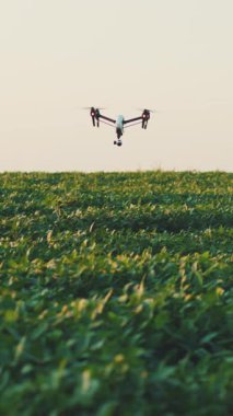 Bir dron verimli yeşil bir arazinin üzerinde zarifçe süzülüyor, altındaki manzaranın nefes kesici görüntülerini yakalıyor zahmetsizce süzülürken.