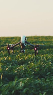 Geniş yeşil alanlara ait çarpıcı bir hava aracı görüntüsü gelişen bitkilerin bereketli bir manzarasını sergiliyor, dingin doğal bir güzellik yaratıyor.