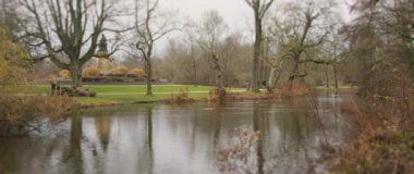 Huzurlu bir park sahnesinde güzel bir şekilde dingin bir göl sergileniyor. Etrafı canlı, renkli sonbahar ağaçları ile çevrili.