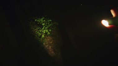 Gece vakti elinde ışık tutan karanlık ajanların elinde kanıt ararken. Acele et! Orman, güvenlik, ekipman, projektör, sis, suçlu. POV çekimi