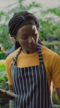 Çiftçi kıyafetleri içinde serada yürüyen, olgun organik muzlar toplayan ve işbirliği yapan genç Afrikalı çekici bir kadın. Afro etnik köken. Tarım.