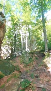 Ormanda FPV uçuşu. Sinema, taşlı yeşil orman ortamı. Tepelerde tek başına yürüyüş yapan bir gezgin. Tırmanma aktivitesi. Yaz yolculuğu. Dovbush Kayaları, Ukrayna.