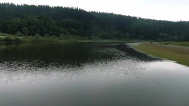Huzurlu bir göl manzarasının tadını çıkarın. Huzurlu ve huzurlu bir atmosferde, yakınlardaki ağaçların güzel yansımalarının olduğu.