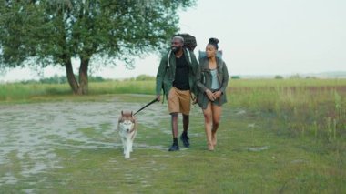 İki safari turisti Sibiryalı köpekli bir çiftle evlendi. Savana arazisinde yürüyor ve uzaktaki vahşi hayvanları izliyorlar..