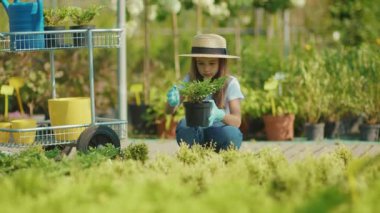 Genç kız çocuk, seranın içindeki yaprakların üzerine çiçek eker. Egzotik bir meşgalenin içindeki aile büyüyen yeşil çiçeğe yoğunlaşır ve ağır çekimde yardımcı olur.