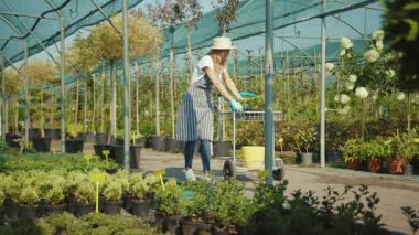 Gün ışığında, kareli gömlekli ve şapkalı bir kadın seradaki çiçekleri suluyor saksı çiçeklerini kontrol ediyor bahçe işleriyle uğraşıyor ağır çekimde çiftlikle uğraşıyor.