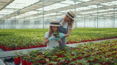 Kapalı portre. Yanında anne çiçekleri olan genç kız. Kameraya bak. Yaz yeşili ailede serada sarılıyorlar.