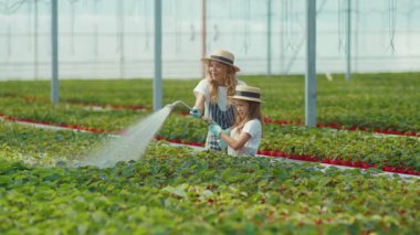 Gülümseyen anne ve kız bitkilere su püskürtüyor sera tarımında birlikte çalışıyor eğlenceli çiçek yetiştirme hobisi konuşuyor yavaş çekim yakın çekim çocuk