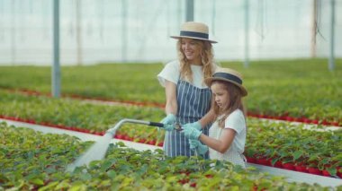 Komik küçük kız annesinin bitkileri suyla ilaçlamasına yardım ediyor. Sera tarımında birlikte çalışıyor. Eğlenceli çiçek yetiştirme hobisi konuşuyor.