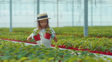 Çekici genç kız şapkalı. Seranın içindeki yaprakların üzerine çiçek ekiyor. Egzotik mesleği olan aile büyüyen yeşil çiçek yetiştirerek yavaş çekimde yardımcı oluyor.